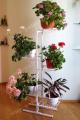 Стенд для цветов, площадки для комнатных растений, полки для растений