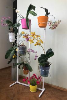 Металлическая подставка для орхидей "Орхидея" в интернет магазине тел. (098) 300 11 00 