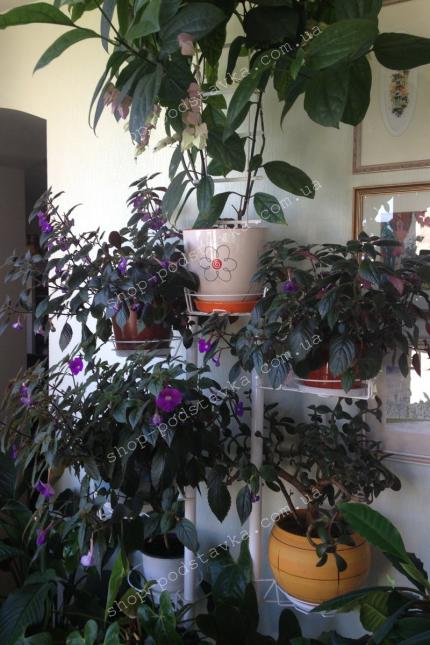 Подставки для цветов купить Подставка для цветов "Дуэт" в интернет магазине тел. (098) 300 11 00