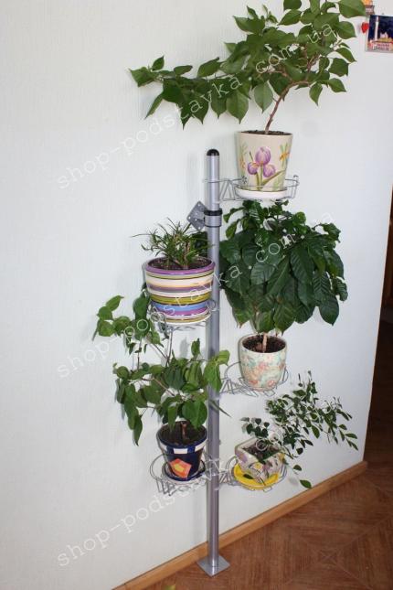 Підставка для квітів Цветы на стене, разместить цветы на стене, декор, полочка для цветов, настенная полочка