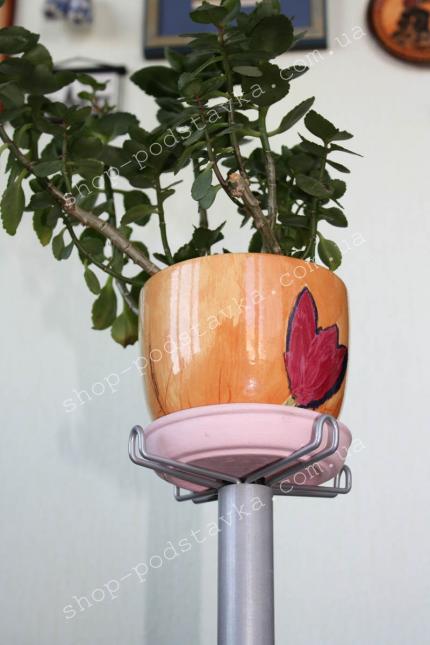 Подставка Подставка для цветов "Ева" заказать недорого по тел. (098) 300 11 00