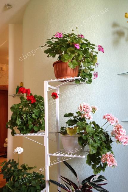 Подставка для больших цветов Подставки напольные "ГРАНД" купить в интернет магазине тел. (098) 300 11 00