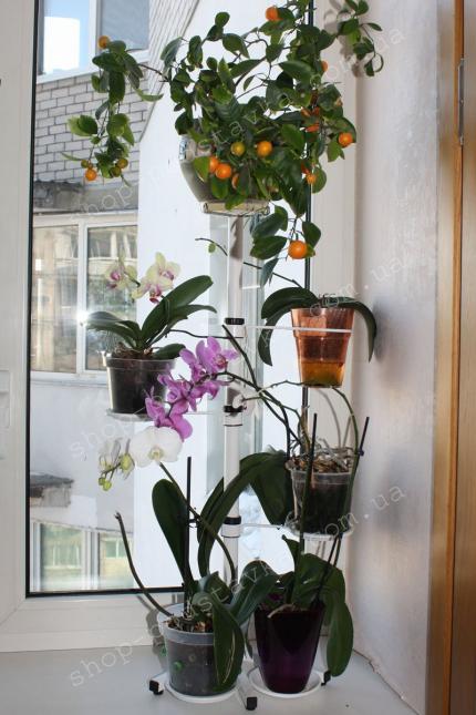 Подставка для цветов "Кэт" Подставка оконная "Кэт" от производителя с доставкой