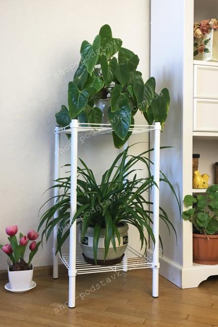 Стеллажи для цветов и рассады "Куб" этажерка для цветов, комнатные цветы купить