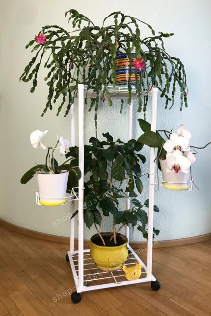 Подставка для цветов и рассады Квест Цветы на стене, разместить цветы на стене, декор, полочка для цветов, настенная полочка