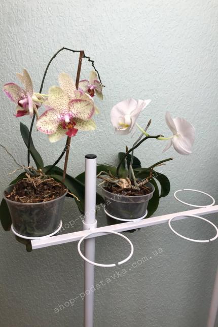 Підставка для квітів "Квін" Подставки из металла, цветочные подставки, для рассады купить в интернет-магазине