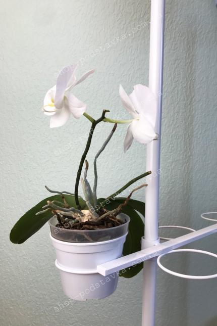 Підставка для квітів "Квін" комнатные цветы на подставке фото тел. (098) 300 11 00