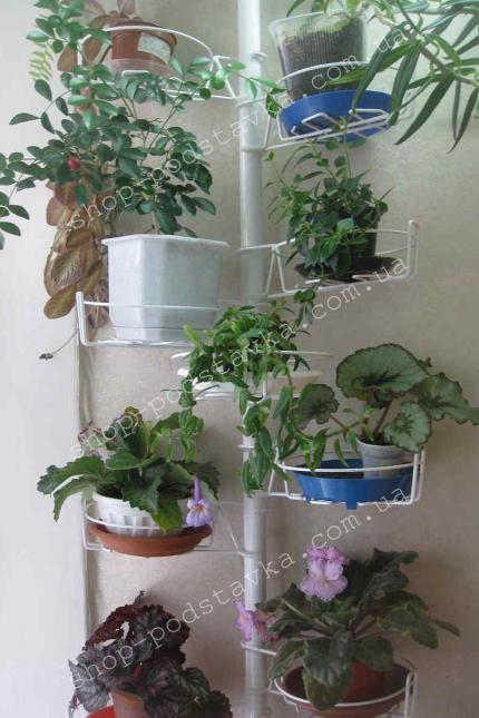 Подставка для цветов купить Распорка для цветов