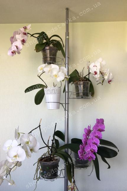 Подставка для цветов в Украине распорка для растений, распорка для цветов, подставка для цветов