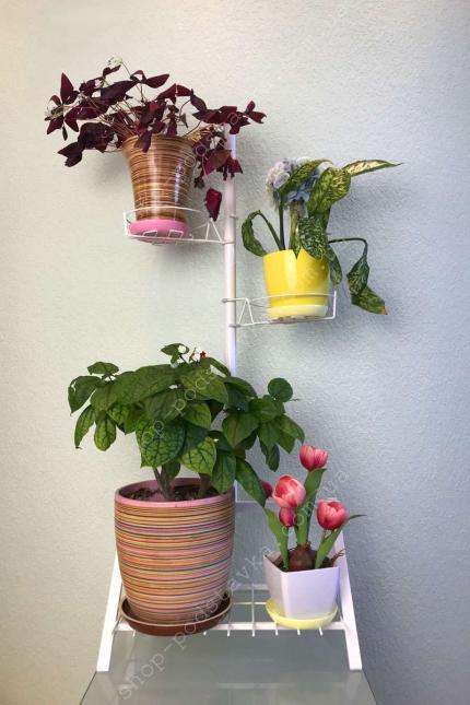 Подставка для цветов Моника Подставки из металла для растений, для интерьера купить тел. (098) 300 11 00