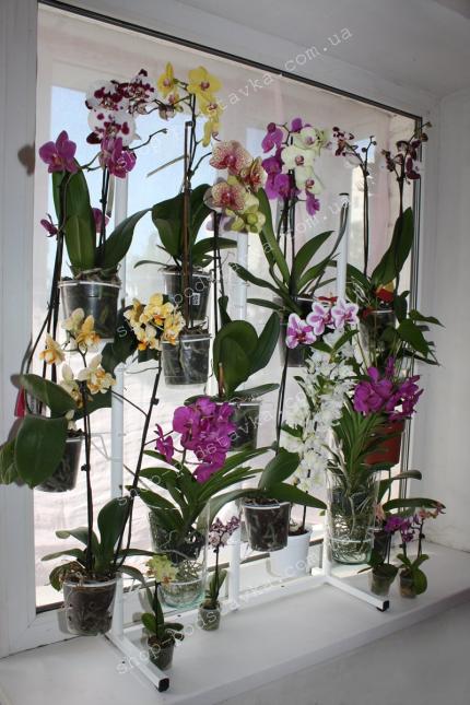 Подставка для цветов Подставка оконная "Орхидея" заказать тел. (098) 300 11 00