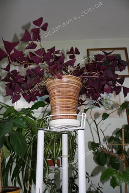 Верхняя корзинка "Трио" Цветы на окне, фиалки, хранить, полочки для цветов, корзинки для цветов, цветочные подставки