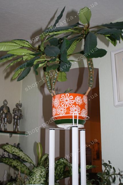 Верхняя корзинка "Трио" Цветы на окне, фиалки, хранить, полочки для цветов, корзинки для цветов, цветочные подставки