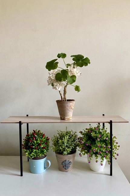 Підставка для квітів Троянда Полочка для цветов