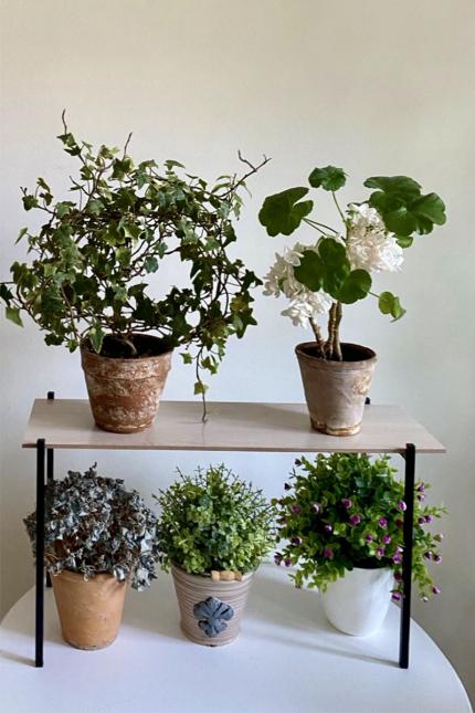 Підставка для квітів Троянда Підставка для квітів для інтерьеру на заказ