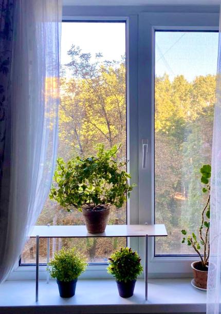 Підставка для квітів Троянда Вместительная полочка для цветов от производителя