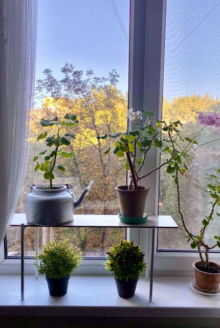 Підставка для квітів Троянда Зручна поличка на вікно для квітів