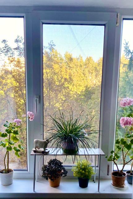 Підставка для квітів Троянда Підставка для квітів на вікно від віробника