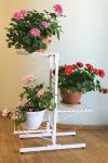 Подставка для цветов Подставки напольные "ГРАНД" фото тел. (098) 300 11 00