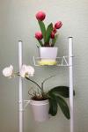 Подставка для цветов и комнатных растений Flowers stand, stand for plants, plant stand