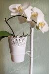 Кронштейн для орхидей держатель для орхидей
