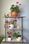 Подставка для цветов "Лаванда" Цветочная подставка на окно недорого тел. (098) 300 11 00