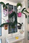 Подставка для окна "Орхидея" Flowers stand, stand for plants, plant stand